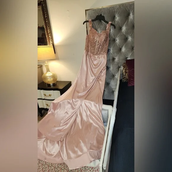 Cinderella Divine blush pink dress/gown - Picture 3 of 7